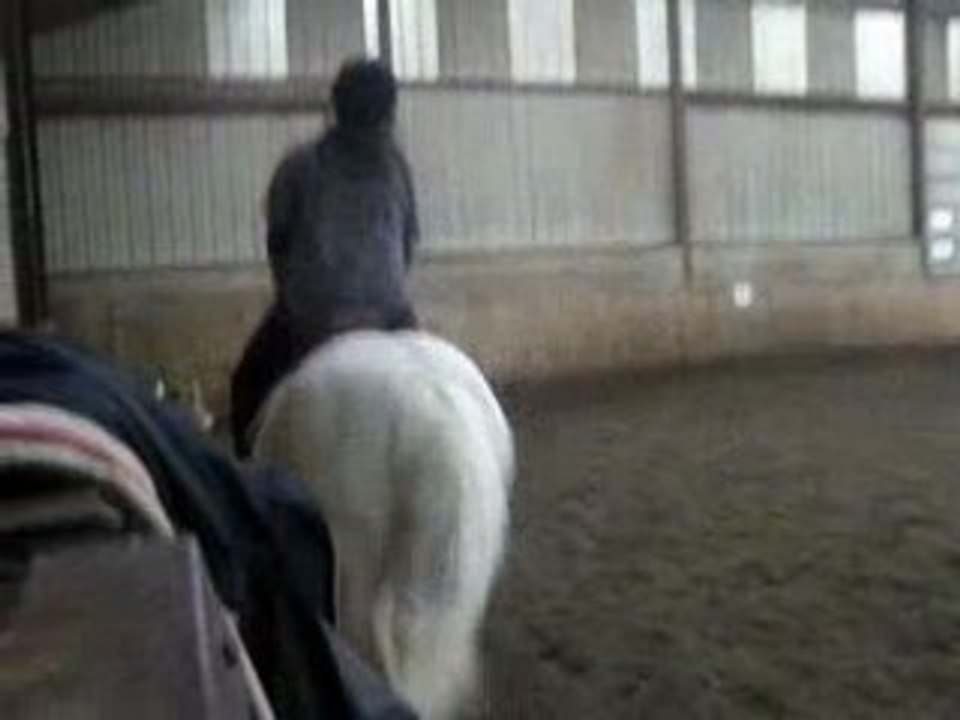 DEPART AU GALOP ET TRANSITIONS DESCENDANTES