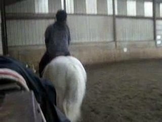 DEPART AU GALOP ET TRANSITIONS DESCENDANTES