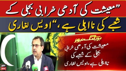 "Maeeshat ki adhi kharabi bijli ke shobe ki na ehli hai," Awais Leghari