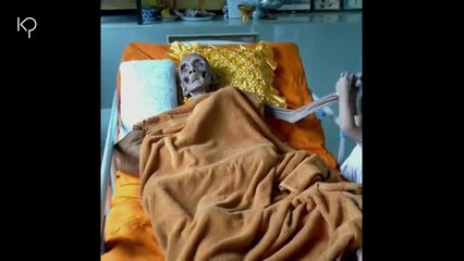 Fakta Mengenai Biksu Berumur 399 Tahun - Luang Pho Yai Biksu Tertua Dari Thailand