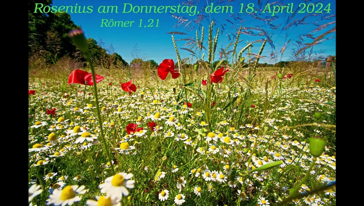Rosenius am Donnerstag, dem 18. April 2024
