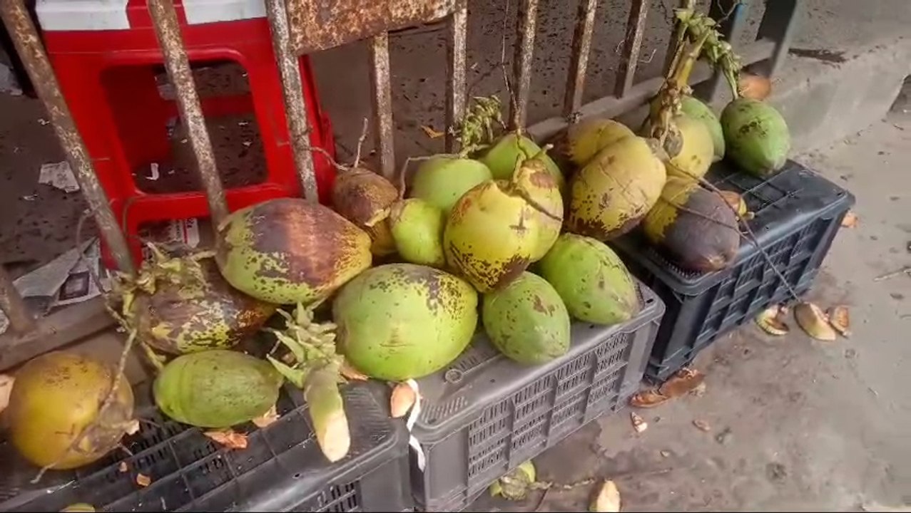 তীব্র গরমে তেষ্টা মেটাতে একমাত্র ভরসা ডাব! জানেন, বাজারে কত দরে বিকোচ্ছে এই নির্ভেজাল ঠাণ্ডা পানীয়?