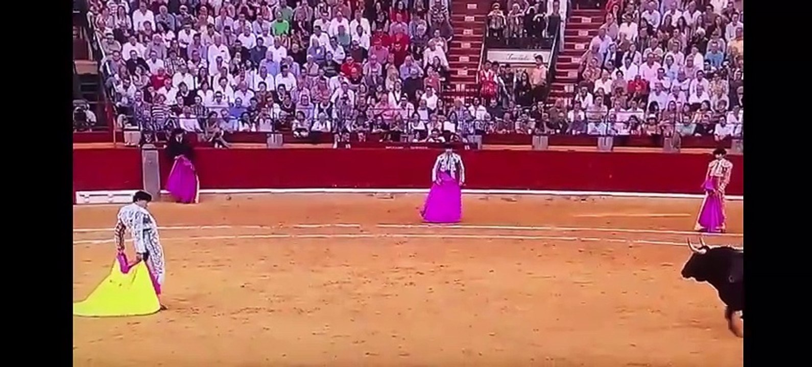 roca rey zaragoza
