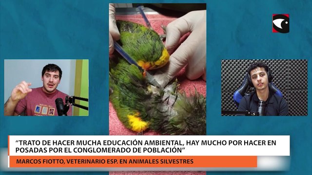 Destacan que “misiones es muy biodiversa” y llaman a reforzar las políticas de preservación de la selva