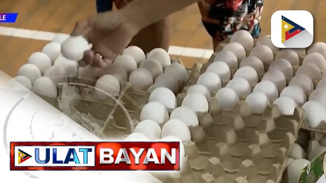 El Niño, nakaaapekto sa laki ng itlog na inilalabas ng mga inahin ayon sa PEBA