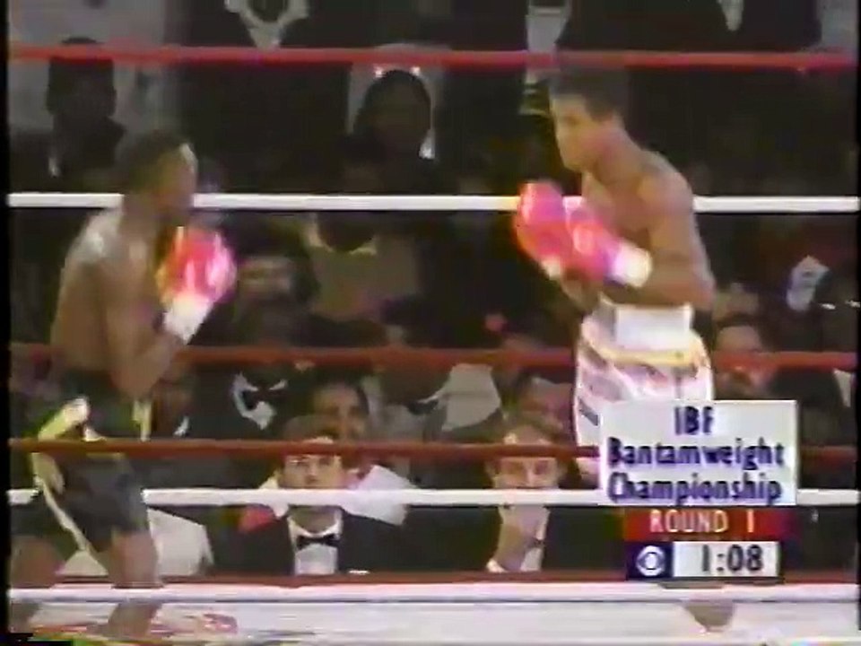 Mbulelo Botile vs Harold Mestre
