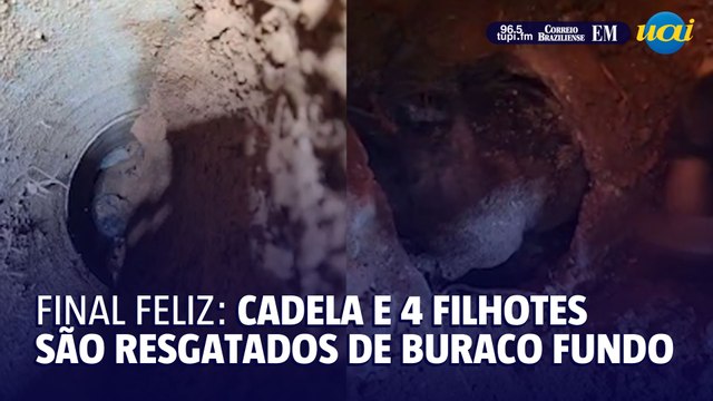 Cadela e 4 filhotes são resgatados de local com difícil acesso, em Minas