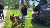 Günther VI, il cane più ricco del mondo ora l’adozione della cucciola Cindy