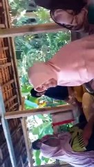 ibu ibu meunasah cut masak apam