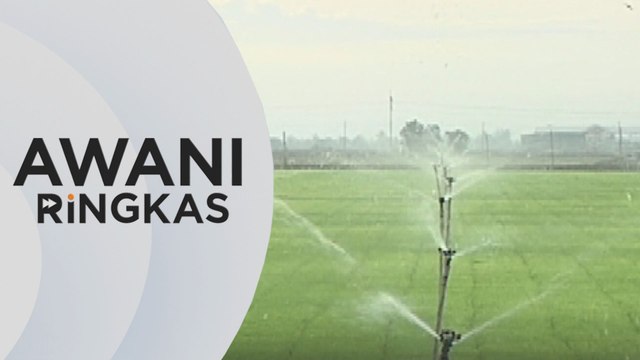 AWANI Ringkas: Harga benih padi | Hilang kad pengenalan