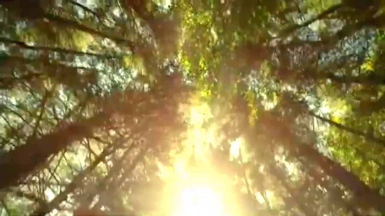 Beneath / Music Video