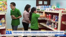 El PVEM insiste en proporcionar entornos accesibles para personas con discapacidad