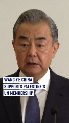 Wang Yi: China supports Palestine's UN membership