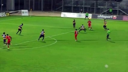 2011-2012 - J14 - M. DIALLO - ARLES-AVIGNON - GUINGAMP 1-2