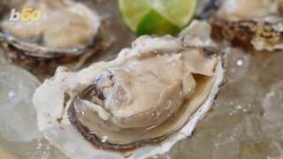 Why Raw Oysters Still Might Not Be The Best Thing To Eat This Summer