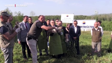 Tedavisi tamamlanan yaban hayvanları doğaya salındı