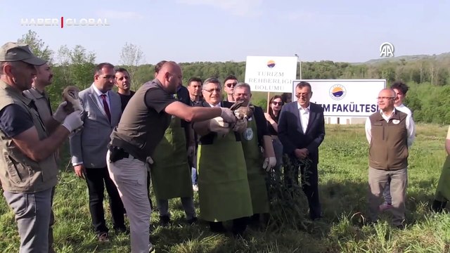 Tedavisi tamamlanan yaban hayvanları doğaya salındı
