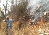 सरिस्का बाघ परियोजना के पहाड़ों में लगी आग, घास-पेड़ धूं-धूं कर जले....देखें यह वीडियो