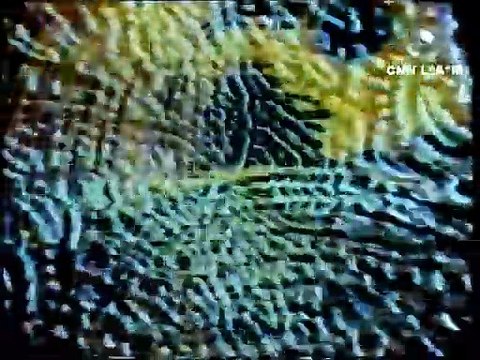 1991 CNN LEPTOMANIA - Q'AIT _[Farce Majeur cover]