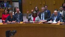 مجلس الأمن يصوت على طلب الاعتراف بعضوية فلسطين الكاملة