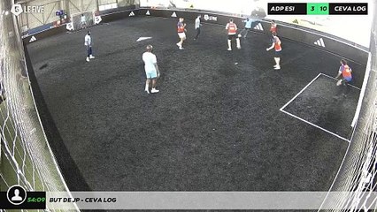 But de jp - CEVA LOG