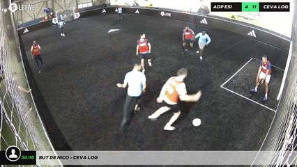 But de nico - CEVA LOG