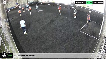 But de nico - CEVA LOG