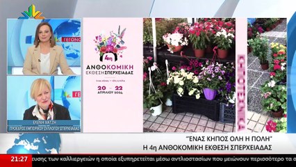 Η Πρόεδρος Εμπορικού Συλλόγου Σπερχειάδας, Ελένη Χατζή στο STAR