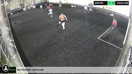 But de nico - CEVA LOG