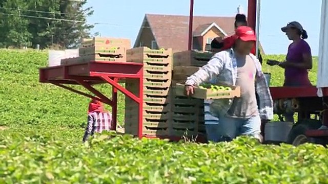 Travailleurs temporaires : partage entre