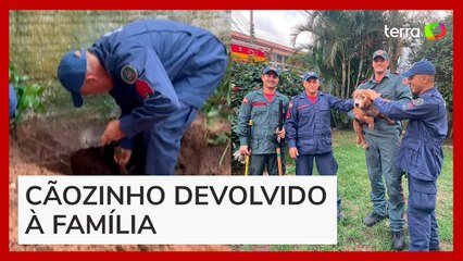 Cão é resgatado após cavar buraco, terra desmoronar e deixar animal preso em SC