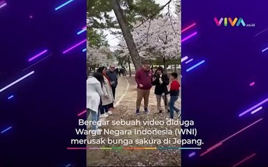 Netizen Jepang Ngamuk! Bunga Sakura Diduga Dirusak WNI