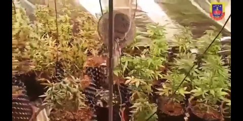 81 ilde dev operasyon: 194 gözaltı