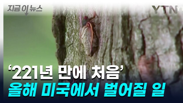 '221년 만에 처음' 올해 미국에서 벌어질 일 [지금이뉴스] / YTN