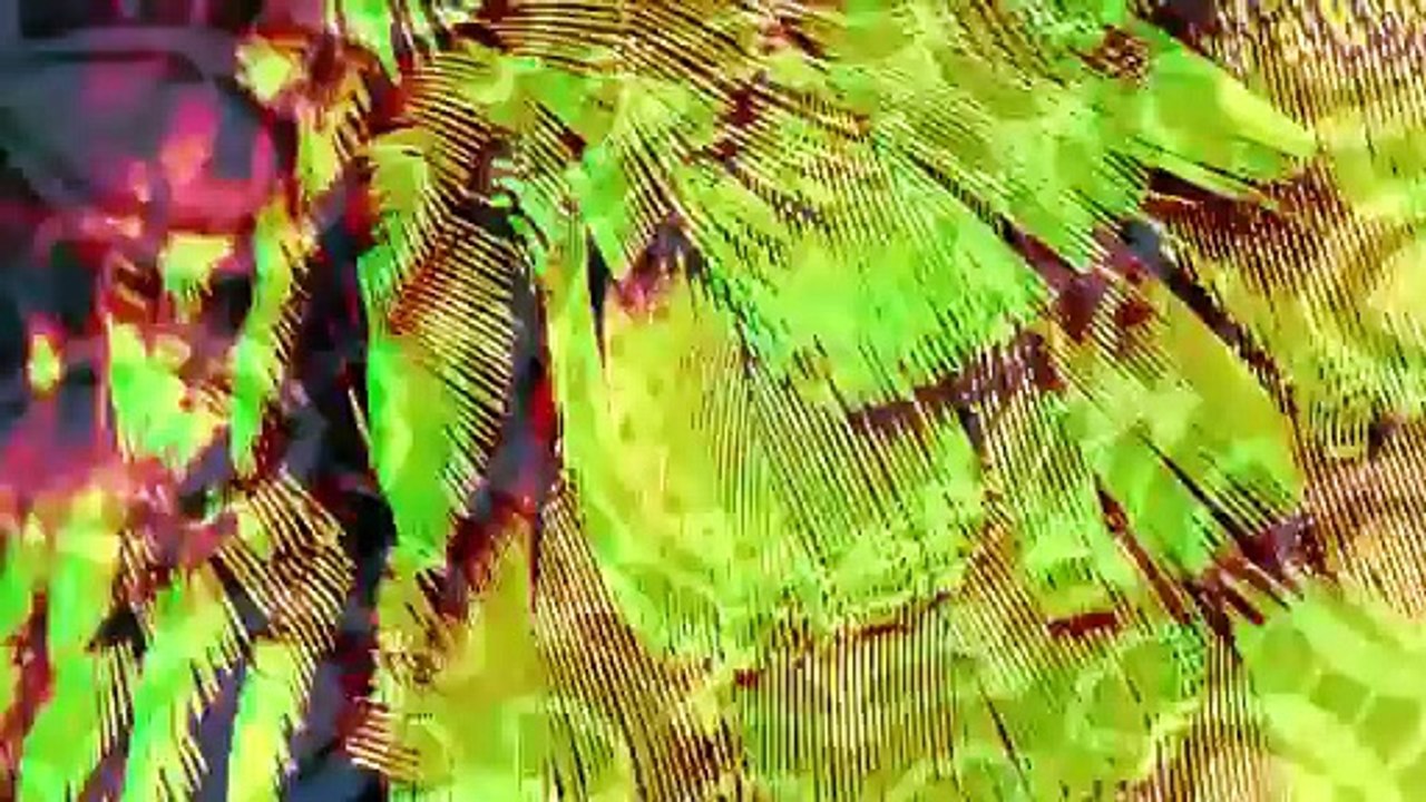 Aztech: Forgotten Gods - Tráiler de Jugabilidad