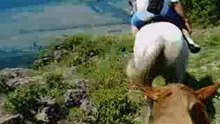 16062007003