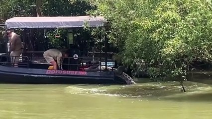 Carlene’s daughter was taken by a crocodile, but she is not in favour of proposed culling