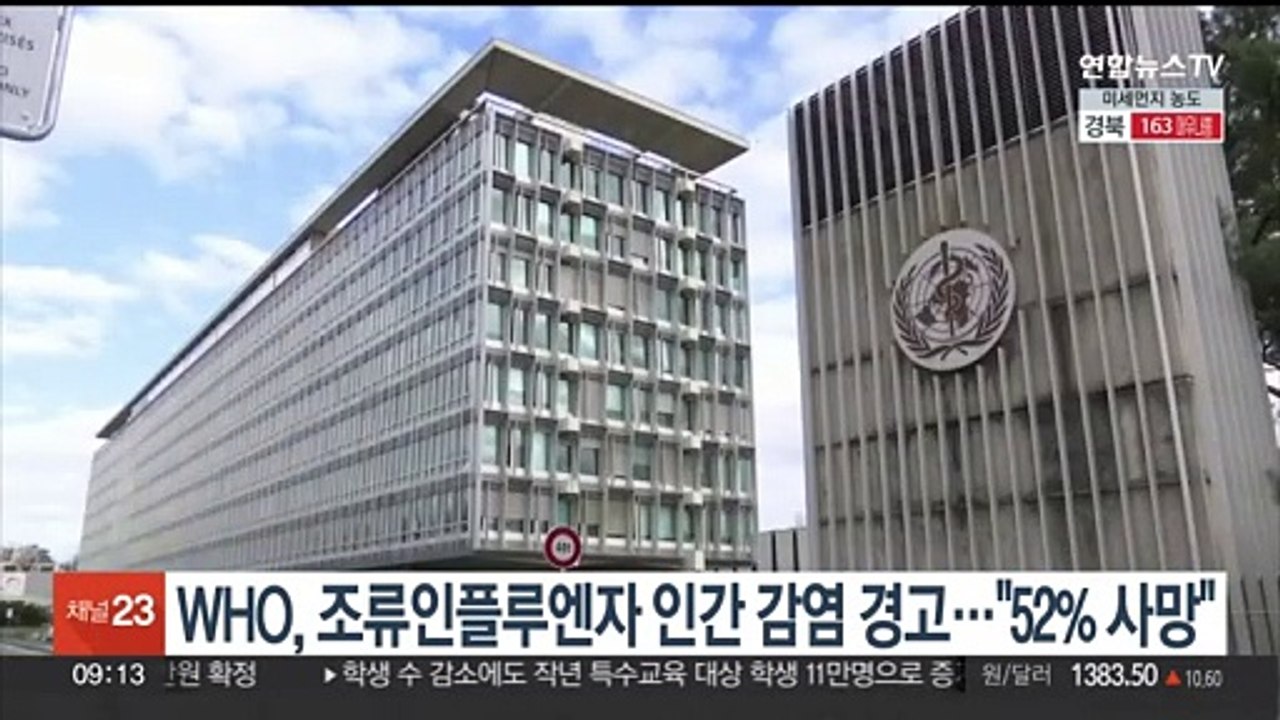 WHO, 조류인플루엔자 인간 감염 경고…"52% 사망"