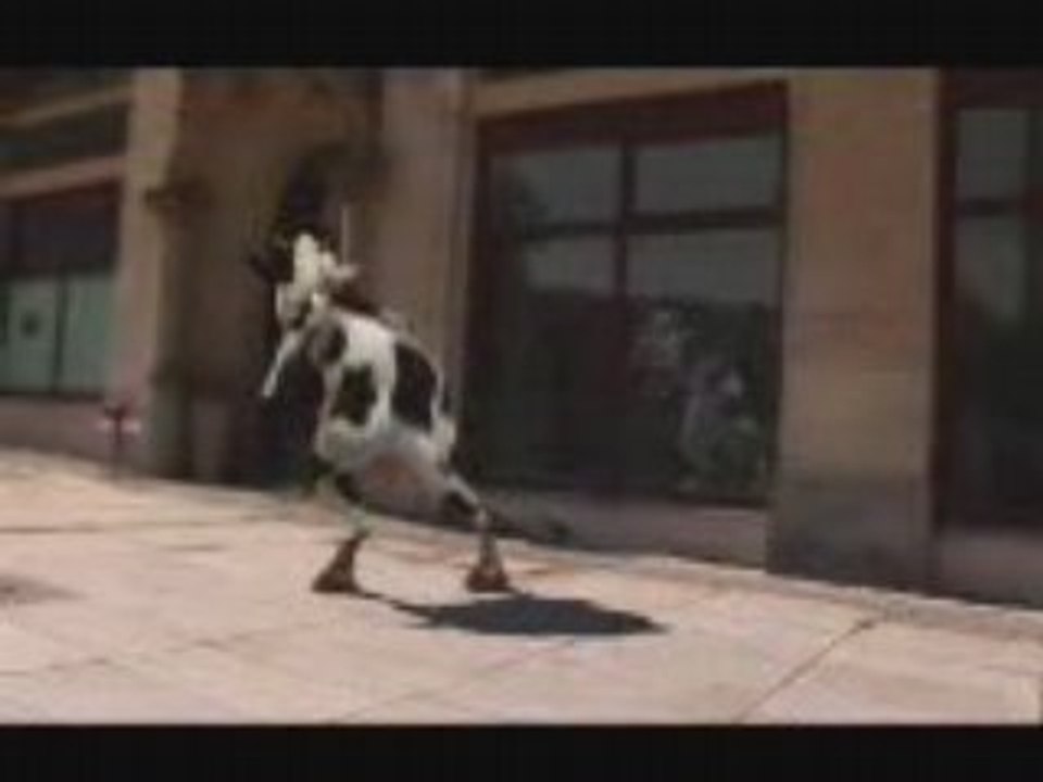 Crazycow