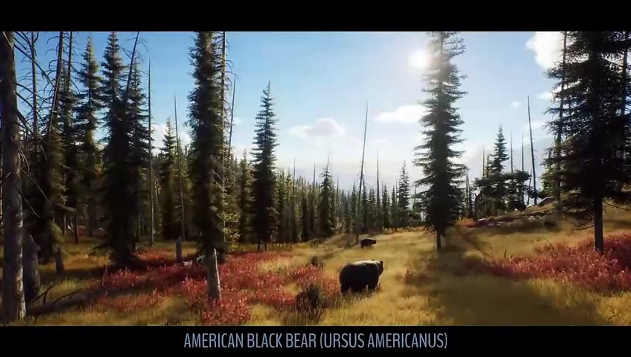 Way of the Hunter - Tráiler "Animals of the Pacific Northwest"