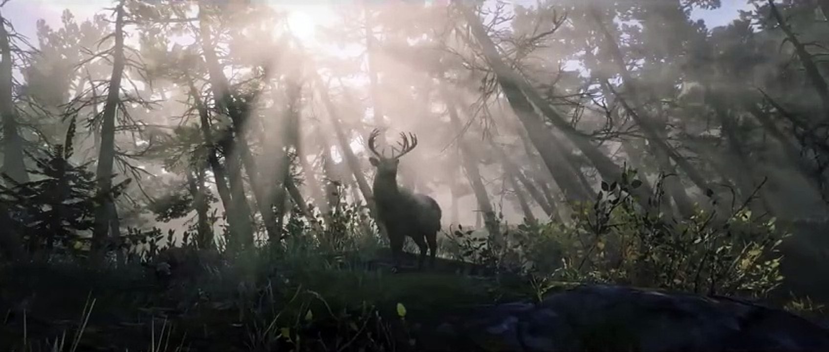 Naturalista, la nueva actualización de Red Dead Online