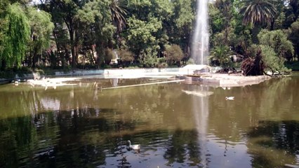 Video Fijo Xperia ZL