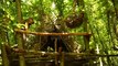 Tree shelter - Making swings from tree branches - Living in nature, camping