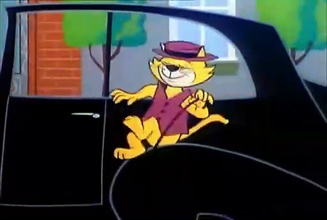 Don Gato