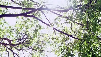 Google reveló que Samsung lanzará reloj con Android Wear