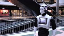 VIDEO: Robot Humanoide de Servicio REEM - PAL Robotics