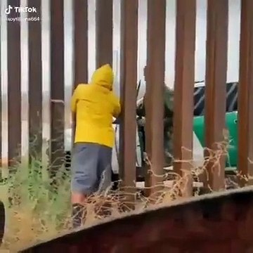 VIDEO Agente de migración es captado comprando tamales en muro de Playas de Tijuana
