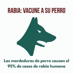 Día Mundial contra la Rabia