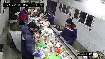 Trabajador rescata a un gatito que estaba apunto de  morir en triturador de basura