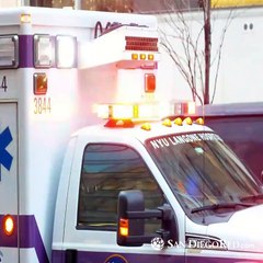 Border News: Primera semana de enero 2021